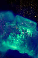 If a Tree Falls in a Forest Poster 2