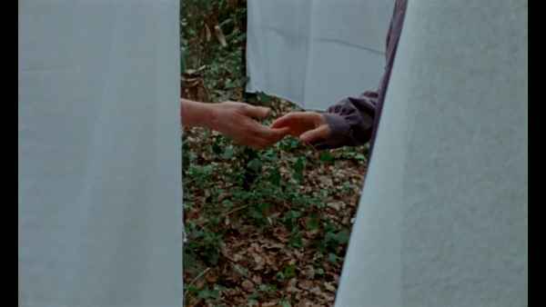 If I Could Bear Myself Like Trees Do Poster 3