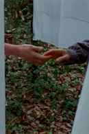 If I Could Bear Myself Like Trees Do Poster 6