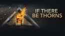 If There Be Thorns Poster 2