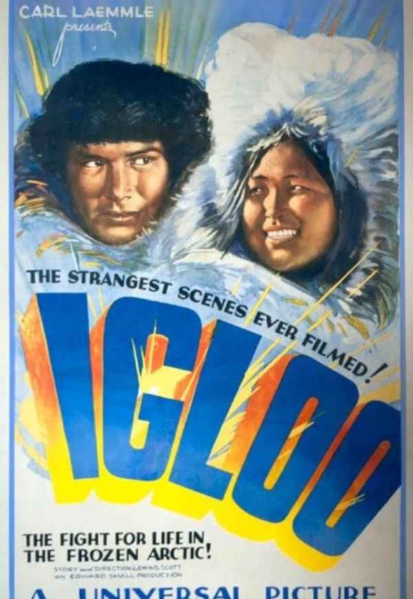 Igloo Poster 3