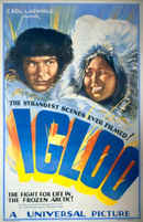 Igloo Poster 2