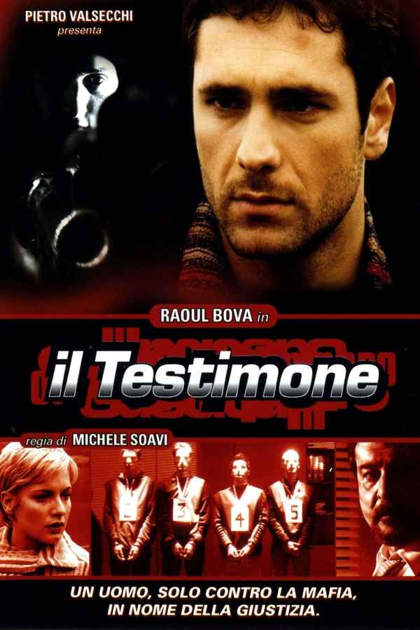 Il testimone Poster 1