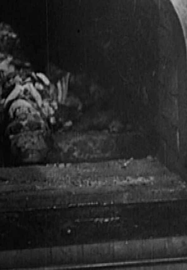 Imaginary Witness: Hollywood and the Holocaust Poster 6