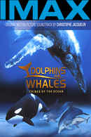 IMAX Dolphins and Whales: Tribes of the Ocean Poster 4