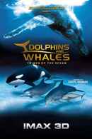 IMAX Dolphins and Whales: Tribes of the Ocean Poster 1
