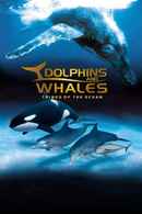 IMAX Dolphins and Whales: Tribes of the Ocean Poster 2