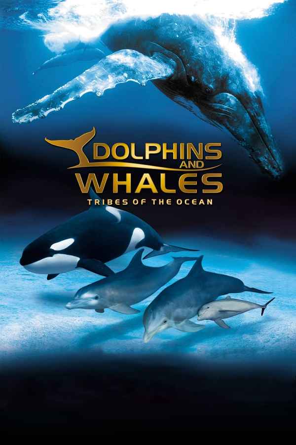 IMAX Dolphins and Whales: Tribes of the Ocean Poster 2