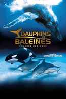 IMAX Dolphins and Whales: Tribes of the Ocean Poster 5