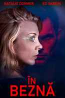 In Darkness Poster 1