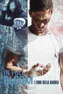 In Full Bloom Poster 1