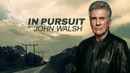 In Pursuit with John Walsh Poster 3