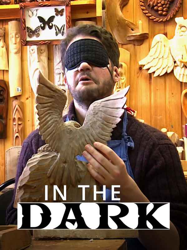 In the dark Poster 1
