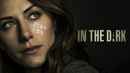 In the Dark Poster 4