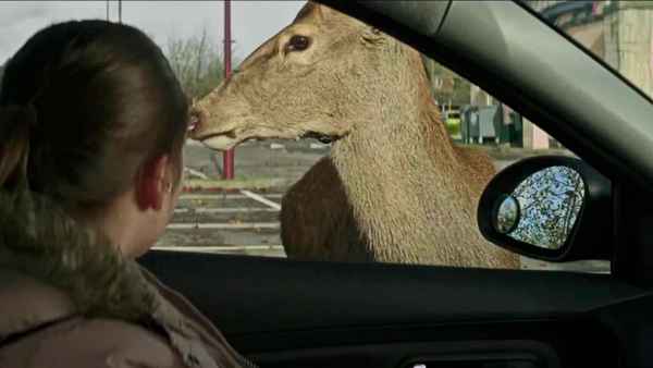 In the Dark Half Poster 6