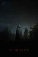 In the Earth Poster 1