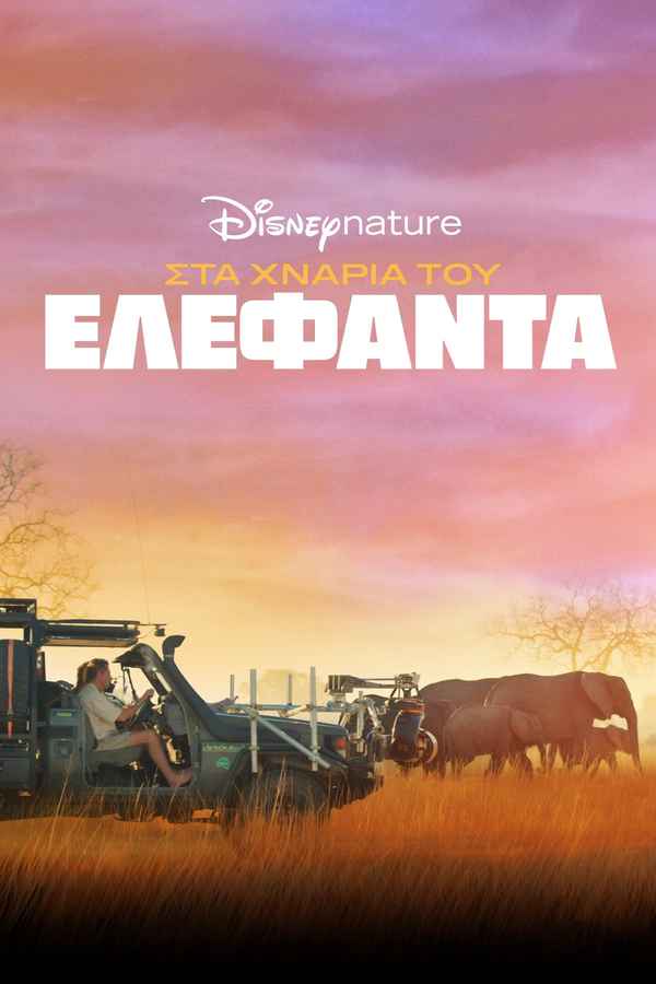 In the Footsteps of Elephant Poster 3