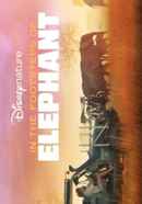 In the Footsteps of Elephant Poster 6