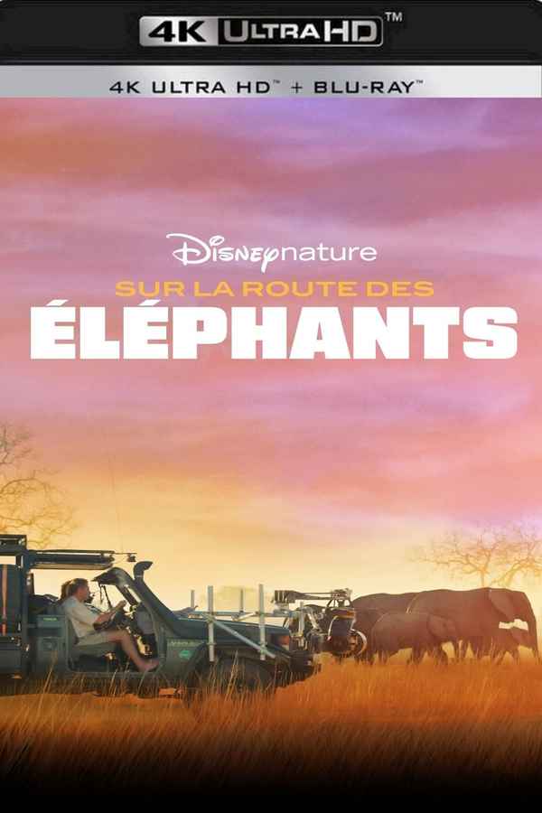 In the Footsteps of Elephant Poster 5