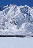 In The Forest One Thing Can Look Like Another Poster 2