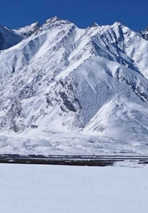 In The Forest One Thing Can Look Like Another Poster 2