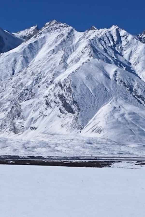 In The Forest One Thing Can Look Like Another Poster 1