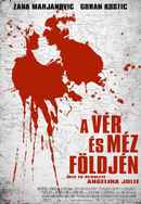 In the Land of Blood and Honey Poster 4