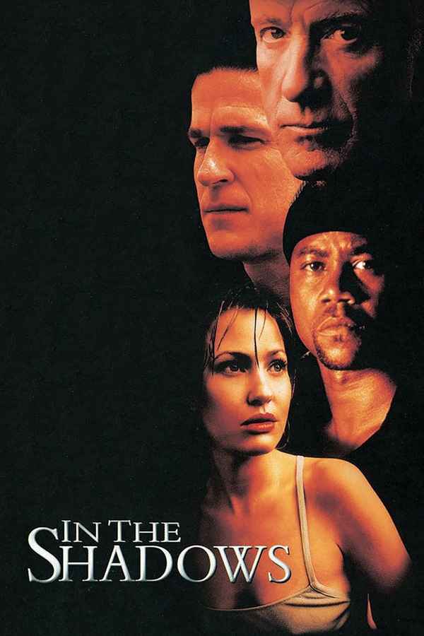 In the Shadows Poster 3