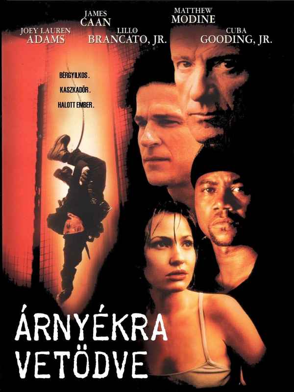 In the Shadows Poster 2