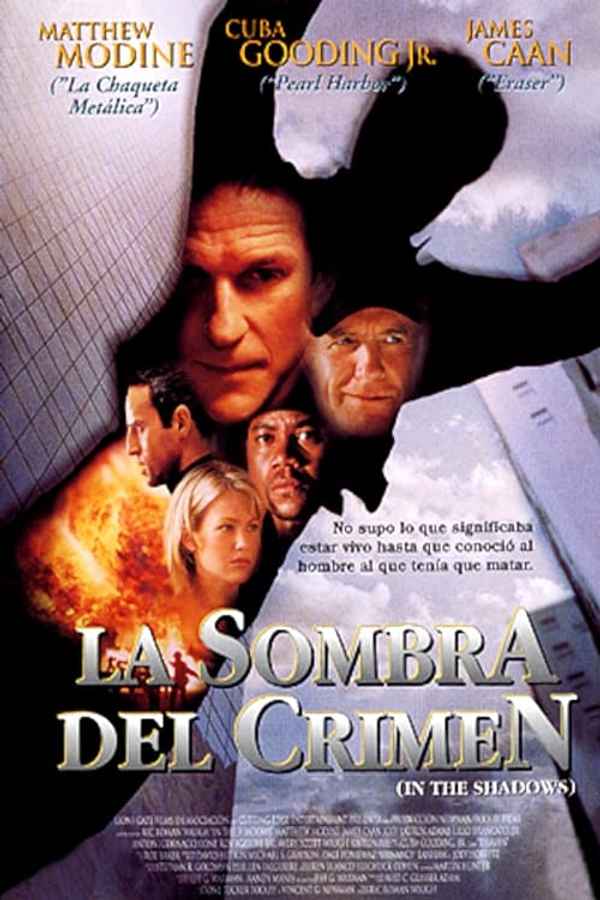 In the Shadows Poster 6