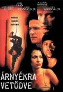 In the Shadows Poster 7