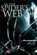 In The Spider's Web Poster 6