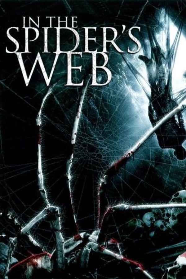 In The Spider's Web Poster 6