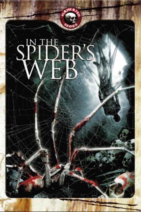 In The Spider's Web Poster 4