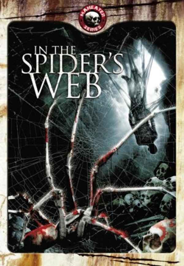 In The Spider's Web Poster 7