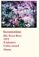 Incantation Poster 6