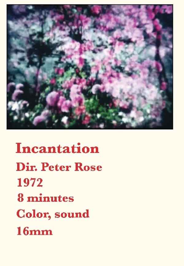 Incantation Poster 6