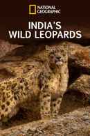 India's Wild Leopards Poster 3