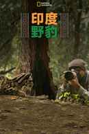 India's Wild Leopards Poster 2