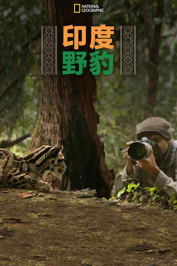 India's Wild Leopards Poster 2