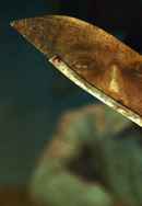 Indian Predator: The Butcher of Delhi Poster 7