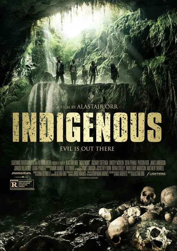 Indigenous Poster 2