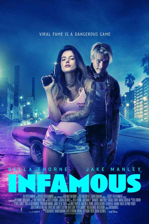 Infamous Poster 3