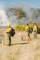 Inhabitants Poster 5