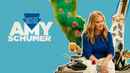Inside Amy Schumer Poster 3