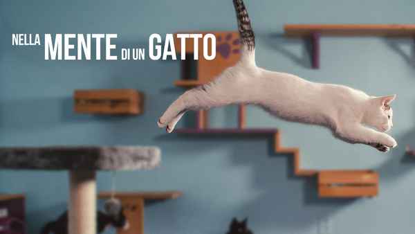 Inside the Mind of a Cat Poster 1