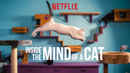 Inside the Mind of a Cat Poster 4