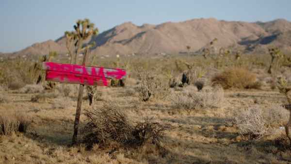 Instant Dreams Poster 4