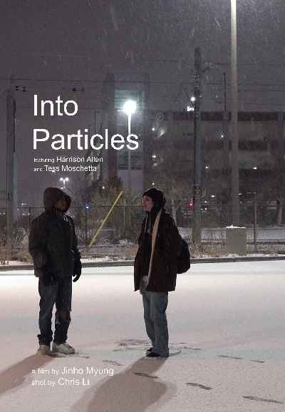 Into Particles