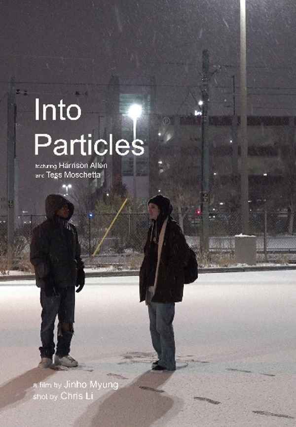 Into Particles Poster 2